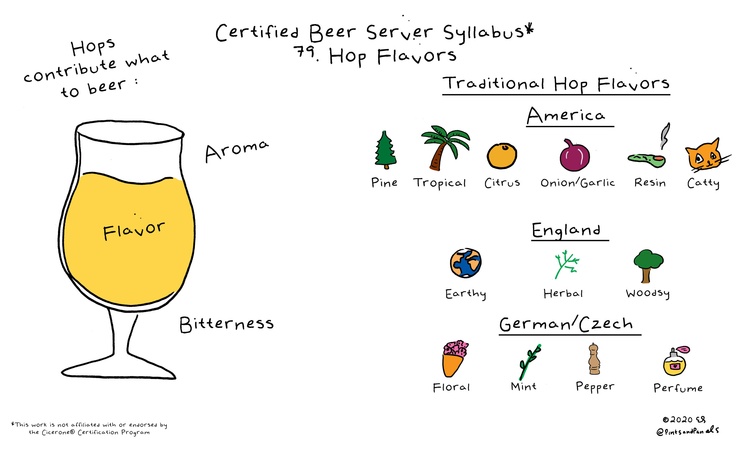 Hops aroma and flavor in beer