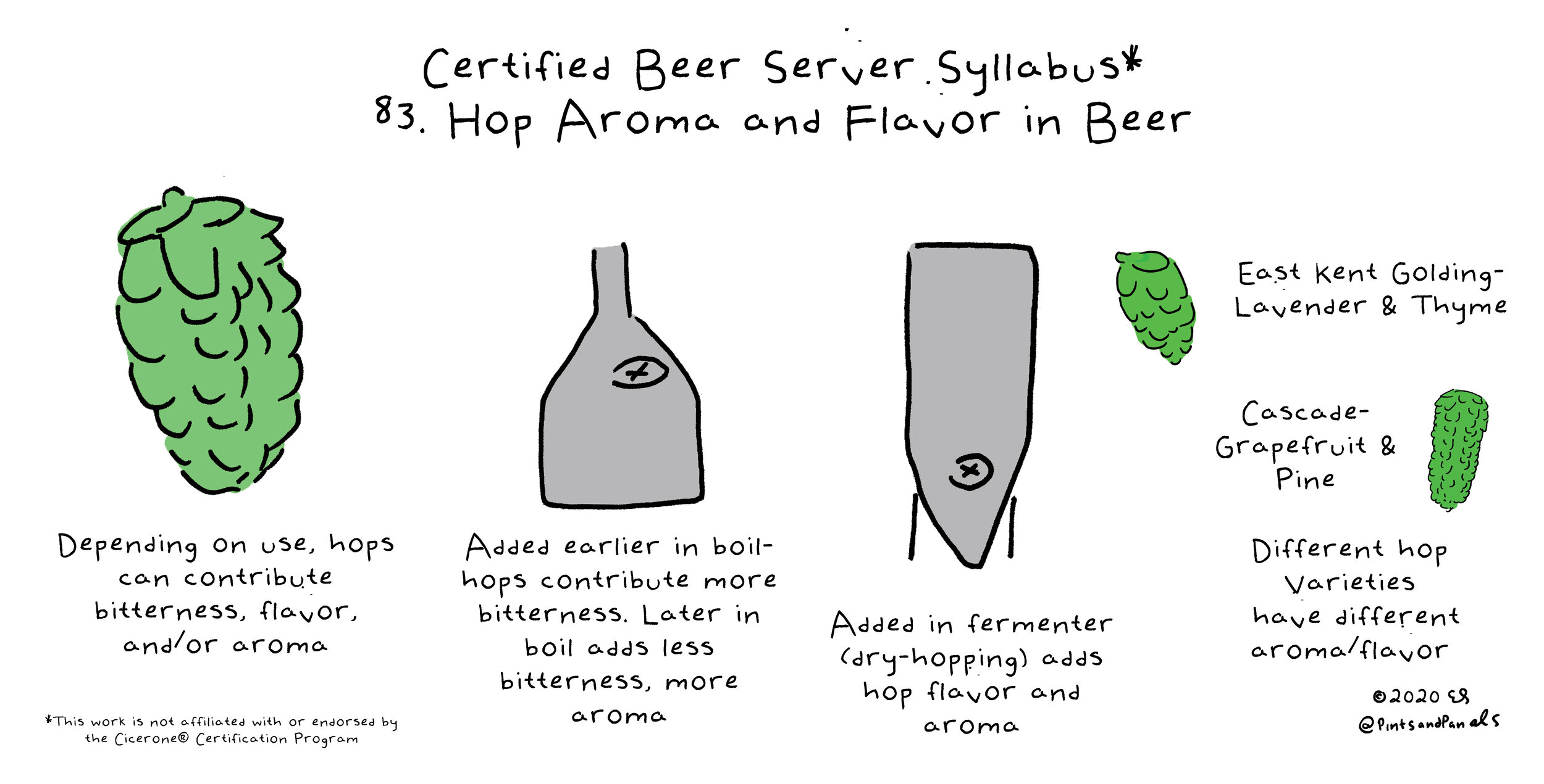 hops added to beer by Pints and Panels