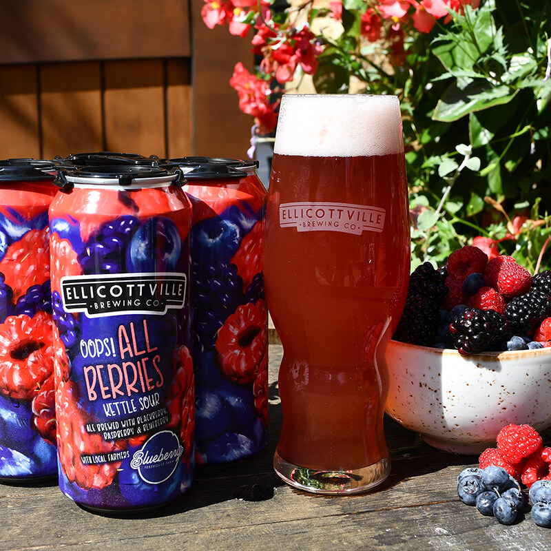 Oops! All Berries Kettle Sour - Ellicottville Brewing - Buffalocal