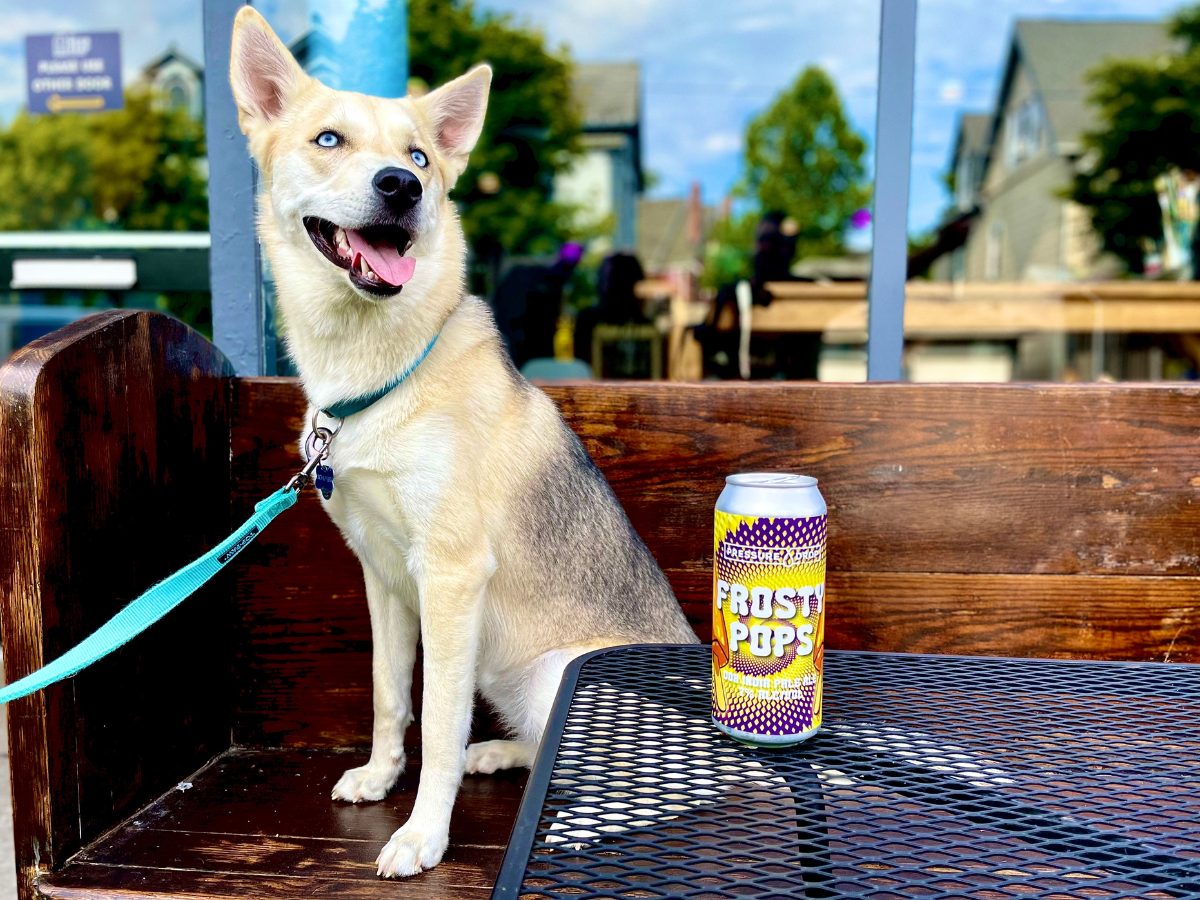 Dog-Friendly Patio - The Beer Keep