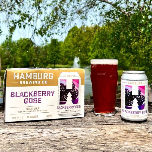 Blackberry Gose - Hamburg Brewing - Buffalocal